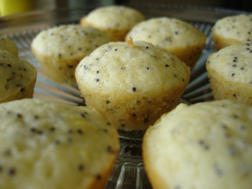 lucious-lemon-poppyseed-muffins
