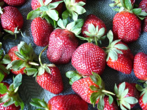 strawberries-closeup